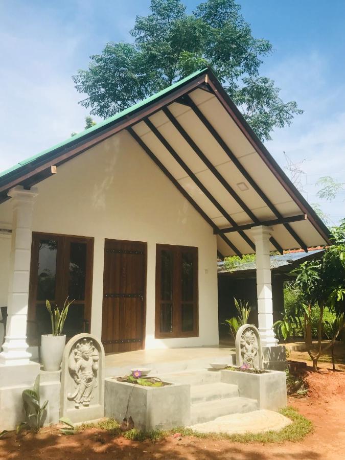 The Wild Culture Hotel Sigiriya Buitenkant foto